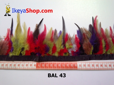 bulu ayam lancip BAL 43   feather  large2